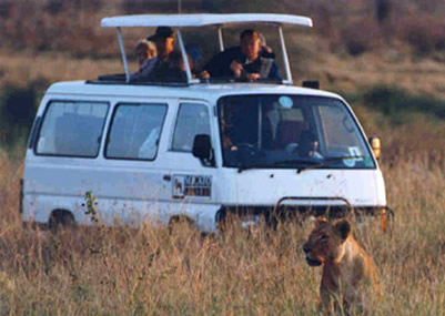 South Africa Kenya Safari